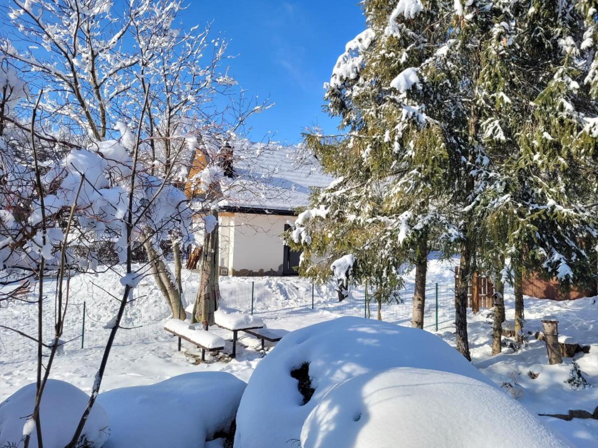 Chalet Widokowka